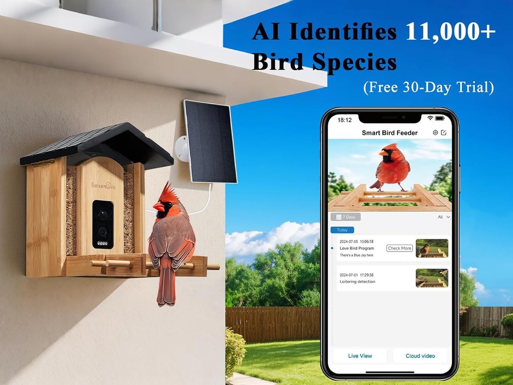 Eco-Friendly Bamboo Smart Bird Feeder W/ Camera & Solar Panel AI Identifies