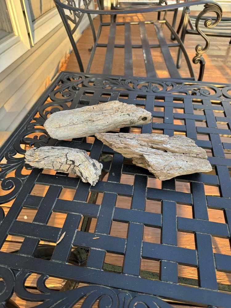 Driftwood
