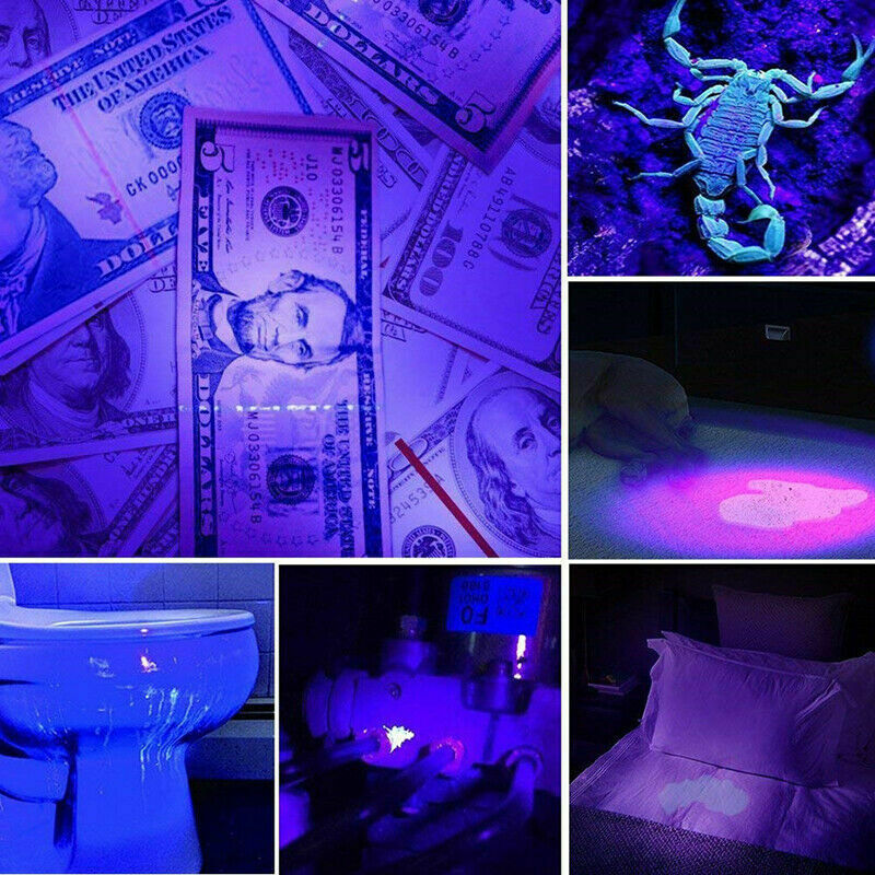 2x UV Ultraviolet LED Flashlights Zoomable Blacklight Light Inspection Torch