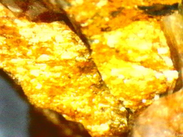 Gold Ore Specimen /Quality Visible Gold