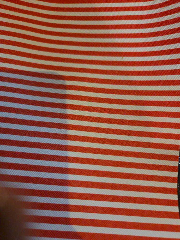 Harness For BEARDED DRAGONS