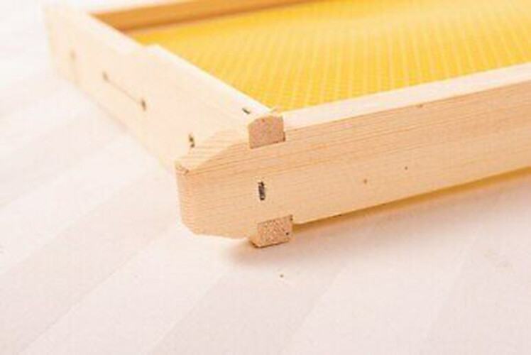 20 Bee Foundation Deep Bee Hive Wax Foundation Bee Hive Frames with Wire