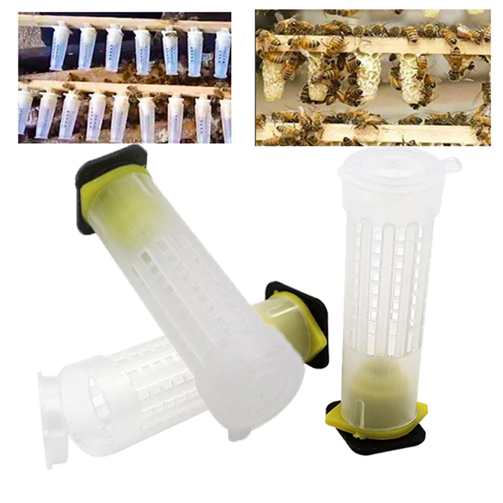 Bee Queen Rearing Cupkit Complete Box System Beekeeping cage Kit / Set Cup NEW