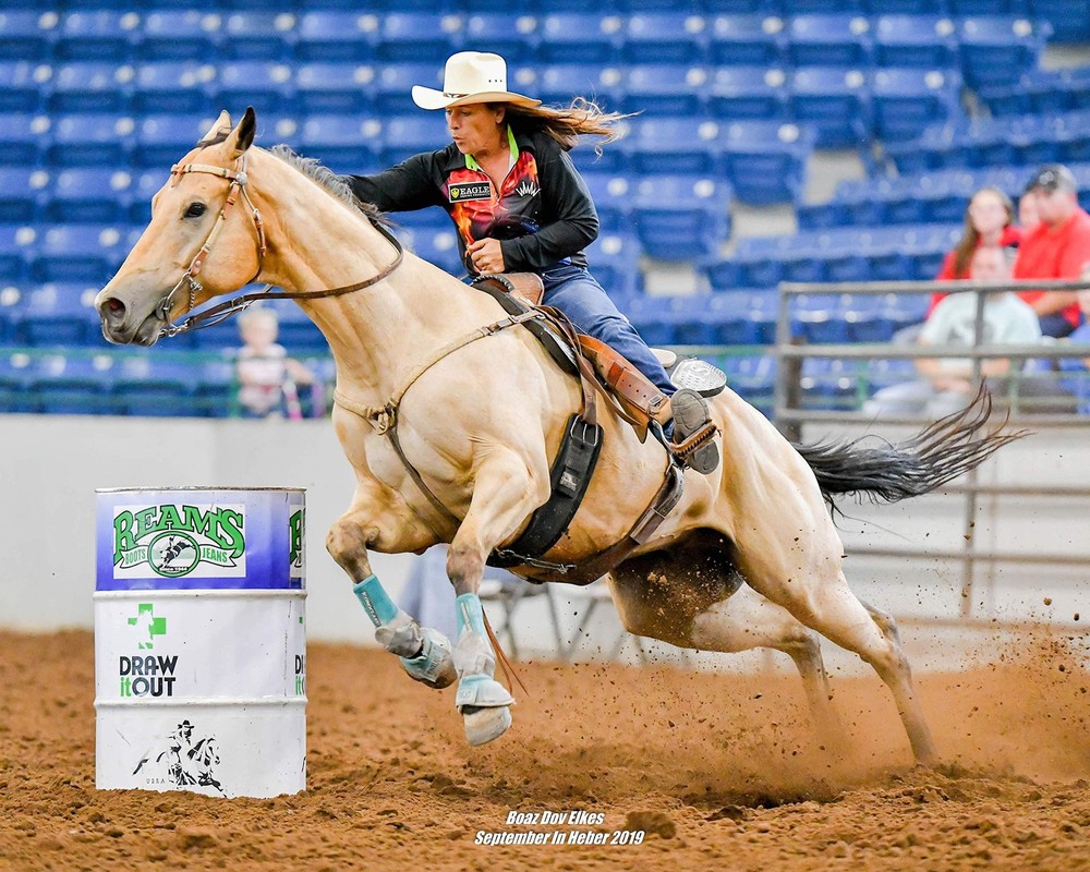 Pre-Performance Calming Paste for Horses - All Natural Gastric Support by Eag...