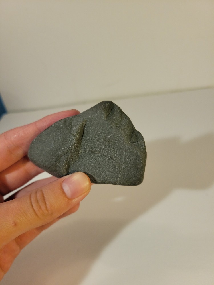 Fine Grained Graywacke Specimen