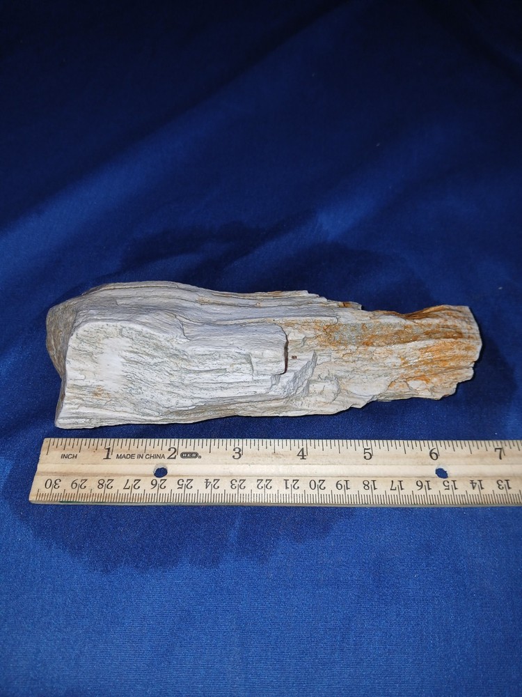 16 oz Texas Petrified Wood