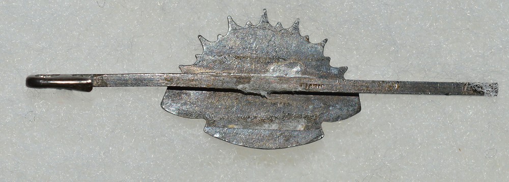 WW2 AUSTRALIAN COMMONWEALTH MILITARY FORCES SILVER TONE PIN