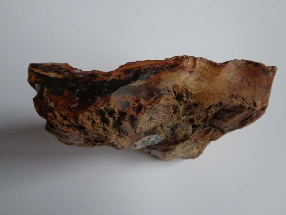 COLORADO PETRIFIED WOOD -NICE
