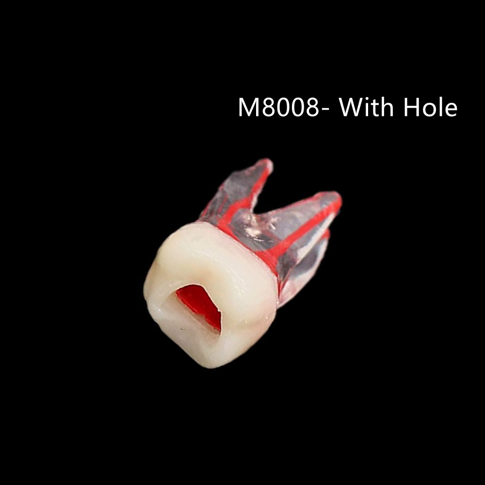 Dental Resin Training Study Endo Root Canal Teeth Model Practice Block RCT Pulp