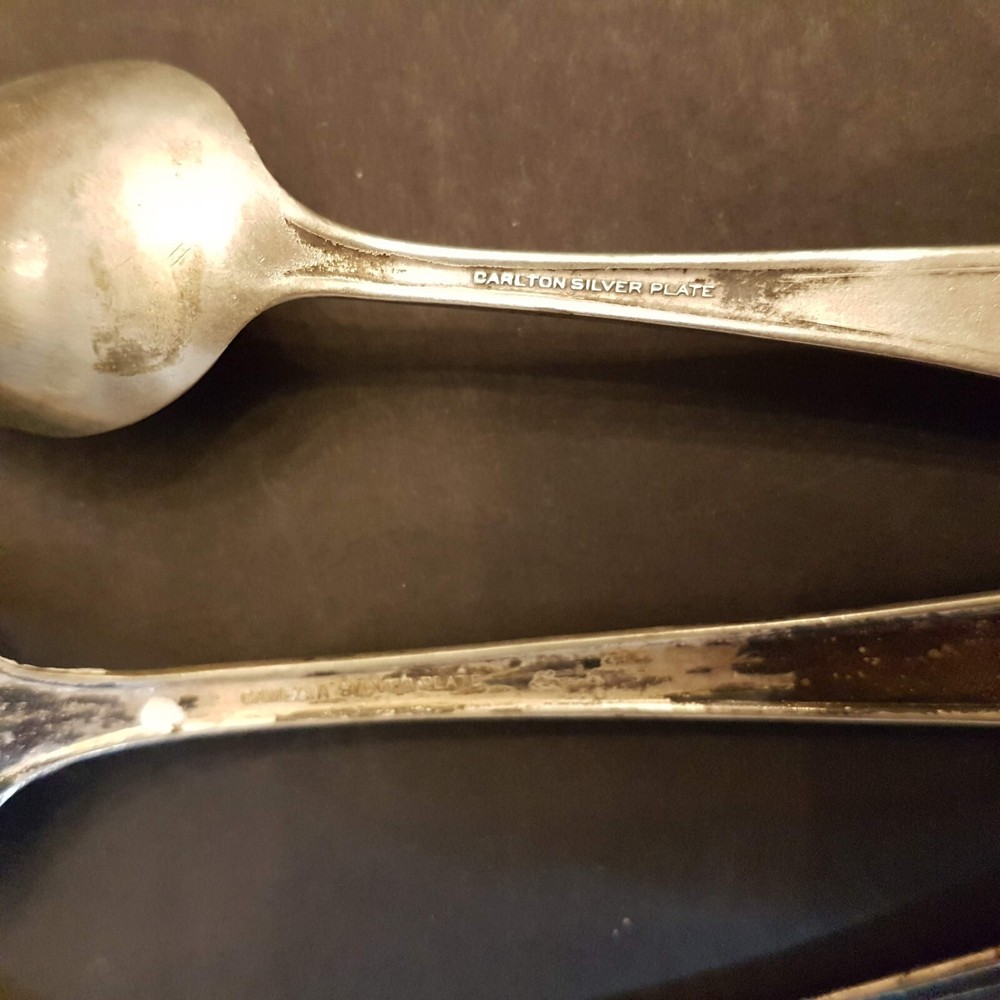 International Silver Plate Flatware Tea Spoon Tablespoon LOT R&B Carlton Camelia