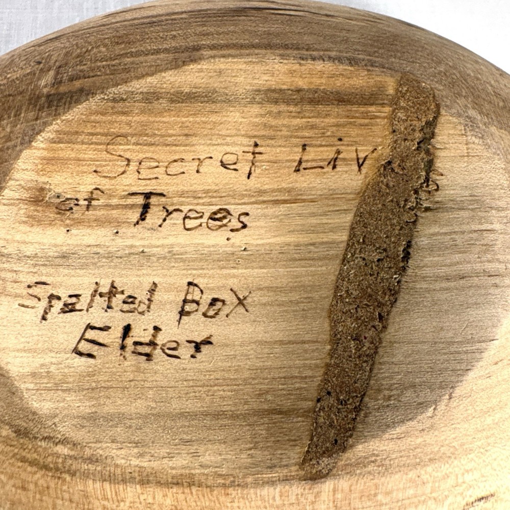 Spalted Box Elder Oval Bowl
