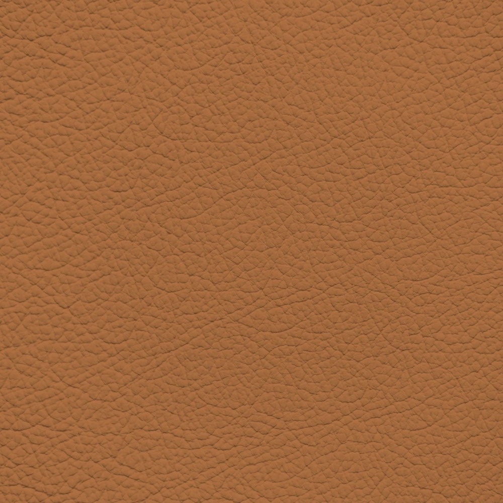 BMW Cognac Leather Dye