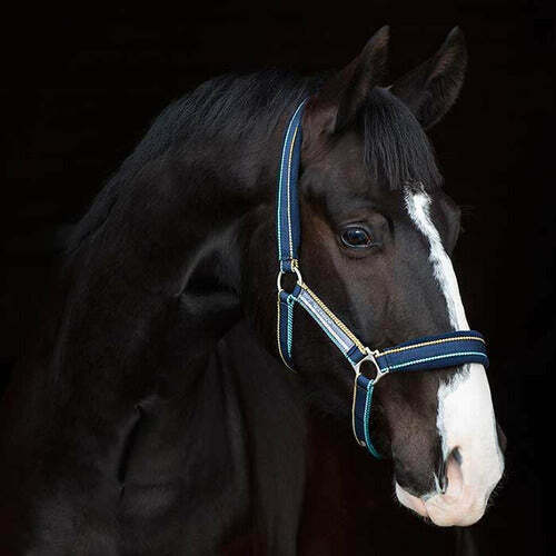 Horseware Rambo Padded Halter CLOSEOUT