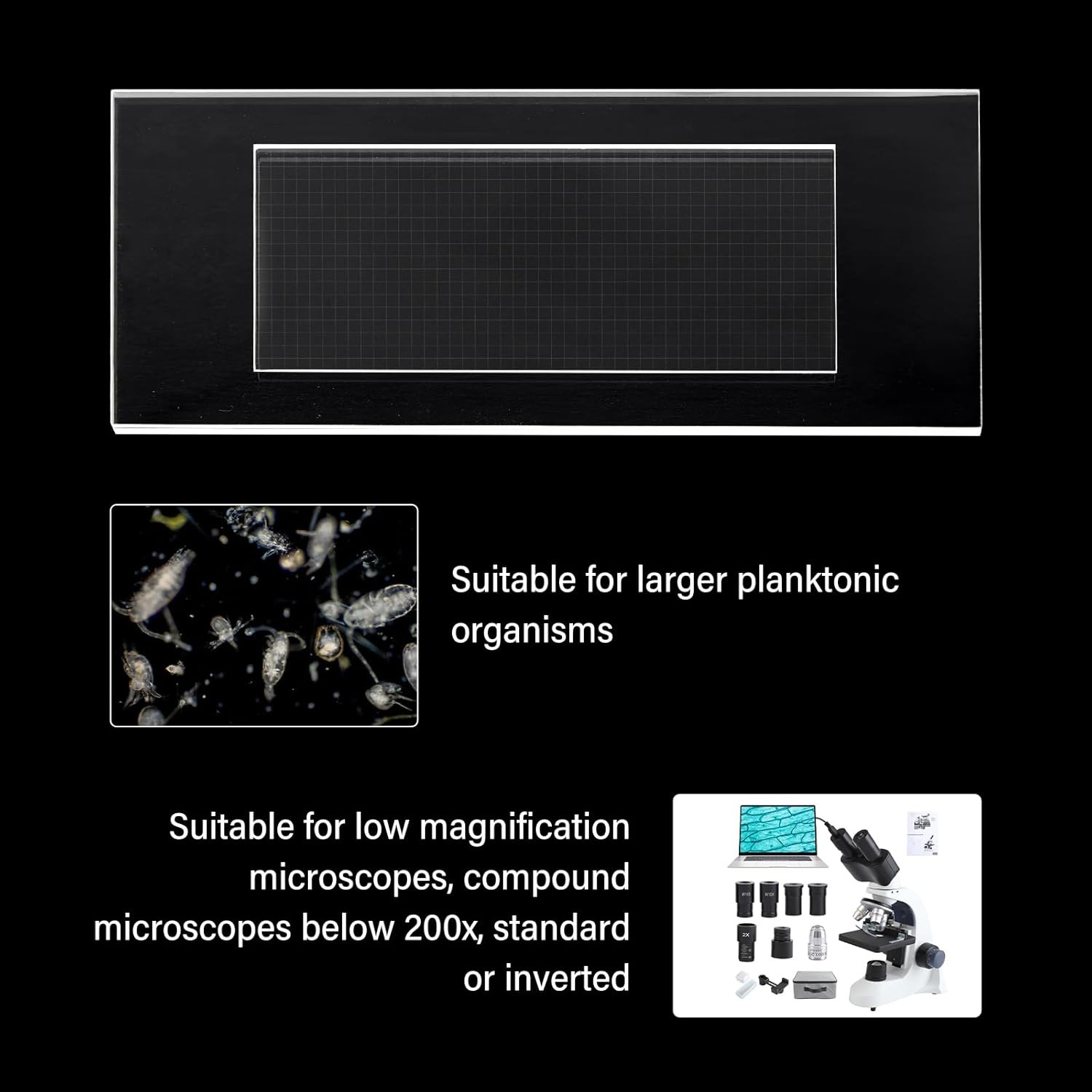 New Glass Plankton Counting Cell Case 1mm 1000 Grid Single Gridded Counting Cell