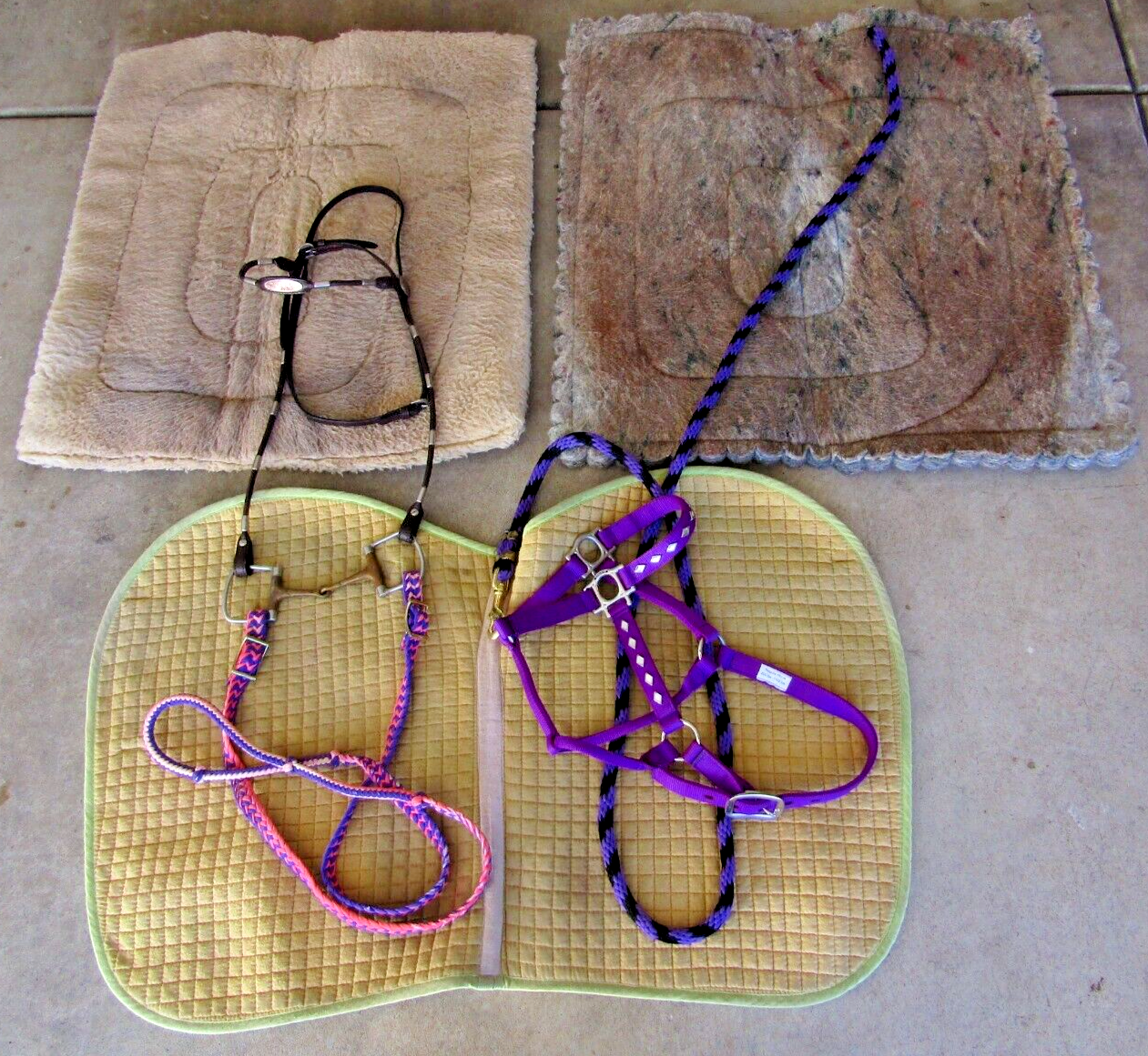 Horse riding and care equipment large lot !