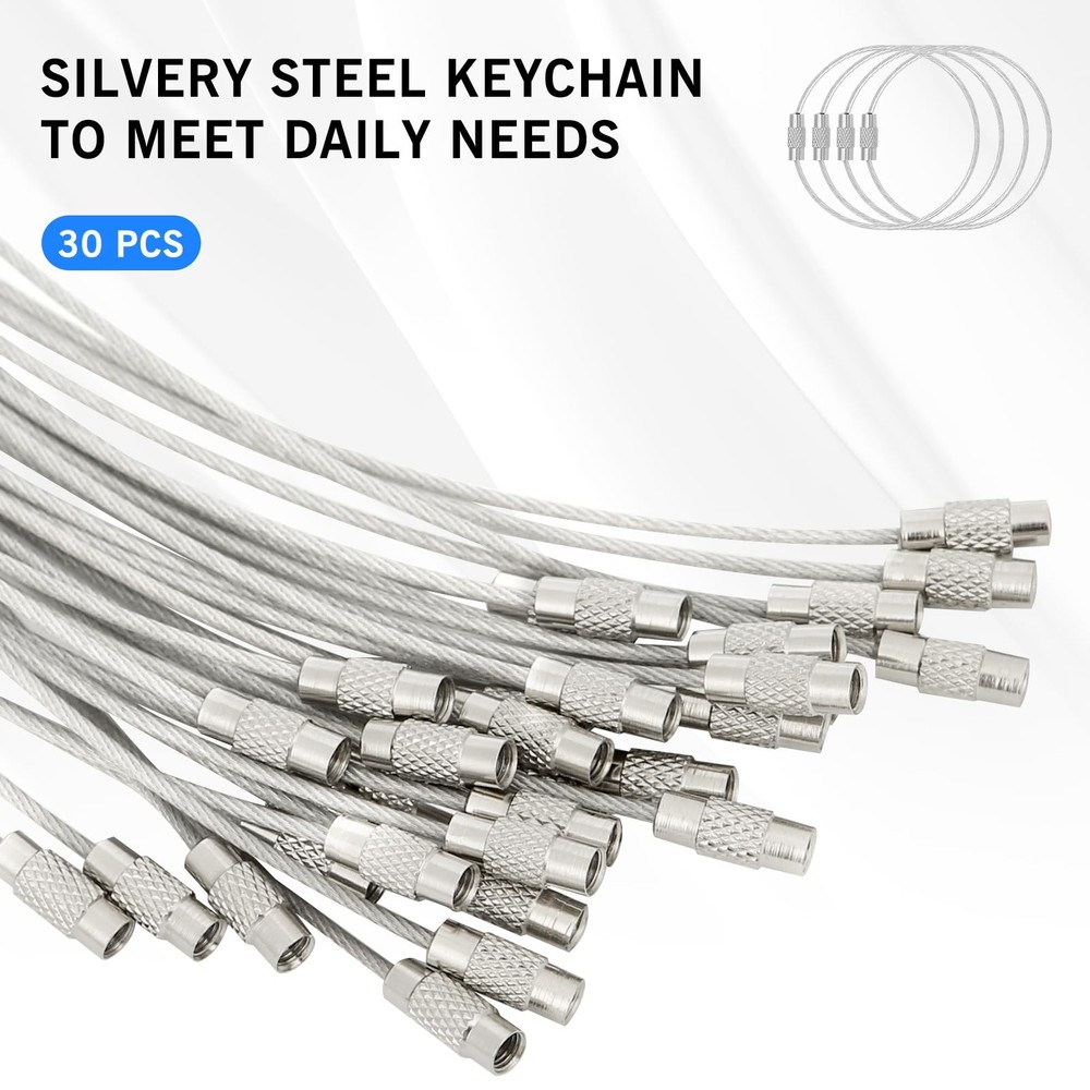 DFTOA-30 Pack 6 inch Extendable Wire Keychain Cable/Luggage Large, Silvery