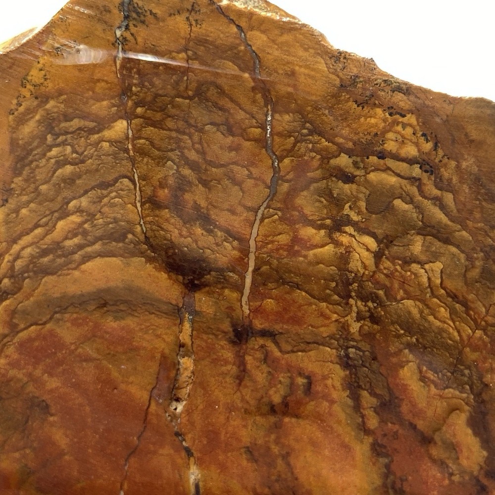 Biggs Scenic Jasper Lapidary Rough Slab