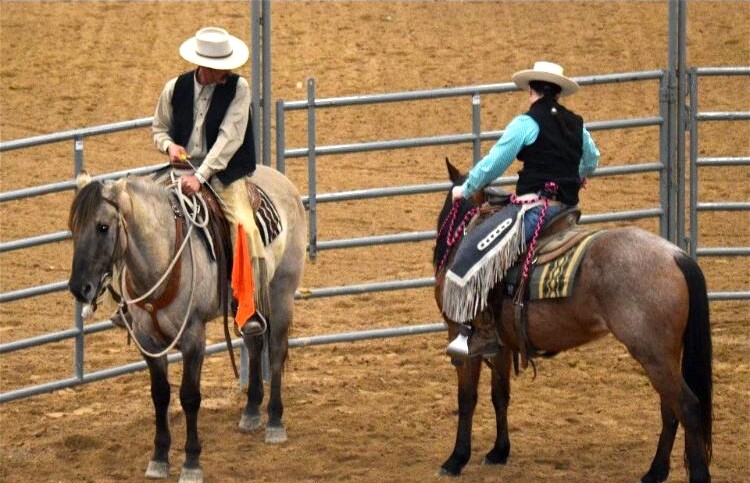 Peter Campbell Specification Designed Horsemanship Replacement Flags