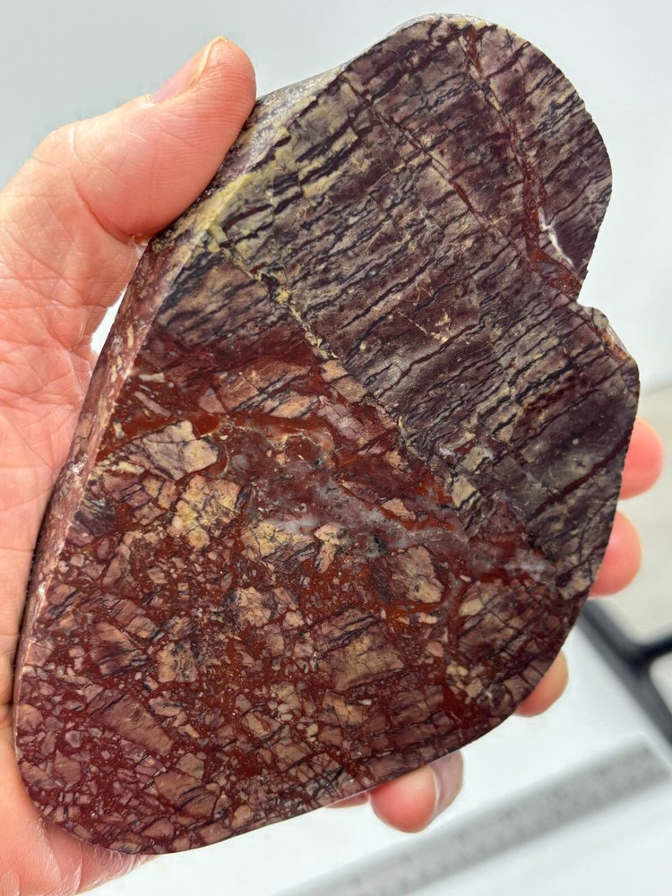 Thick Washington State Jasper Slab Cabbing Lapidary Combo Ship Avail