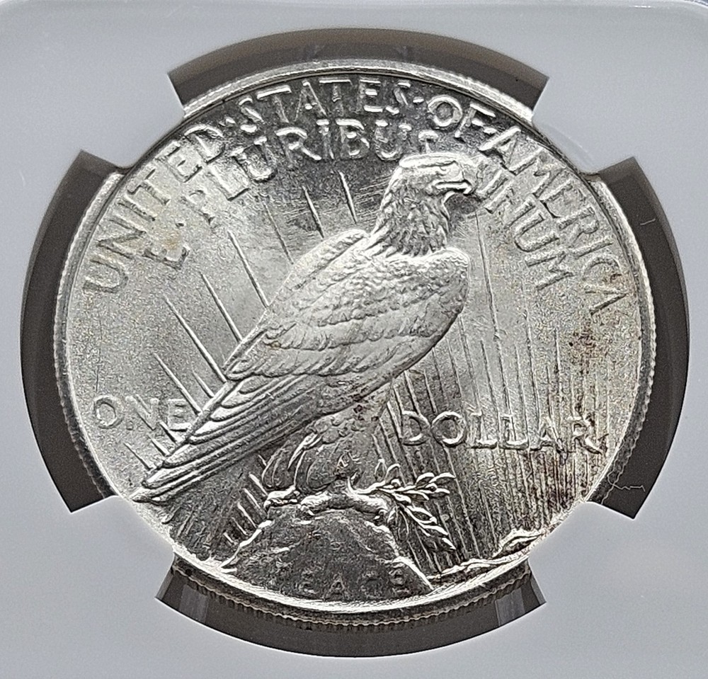 1925 Peace Silver Dollar NGC MS 64