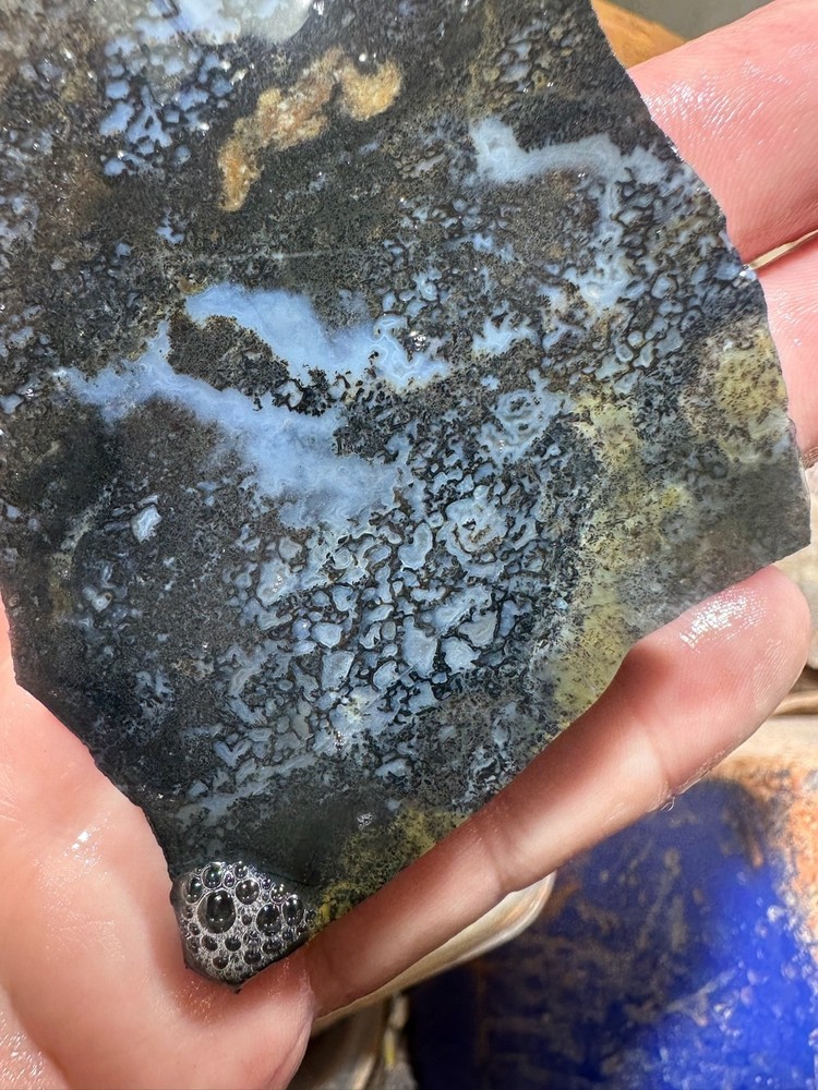 Dinosaur bone rough slab.