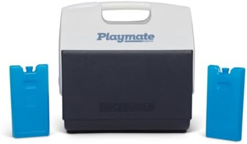 Igloo Medium Ice Block Duo - Compact, Leak-Proof Solution for Outdoor Fun