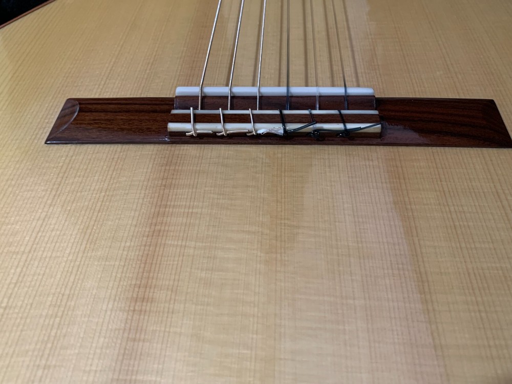 Classical Guitar Antonio Torres FE17 Model