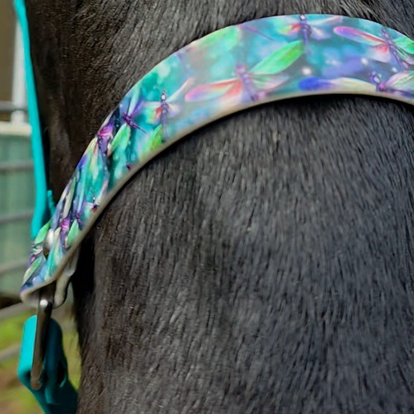 Biothane Horse Halter - Dragonfly