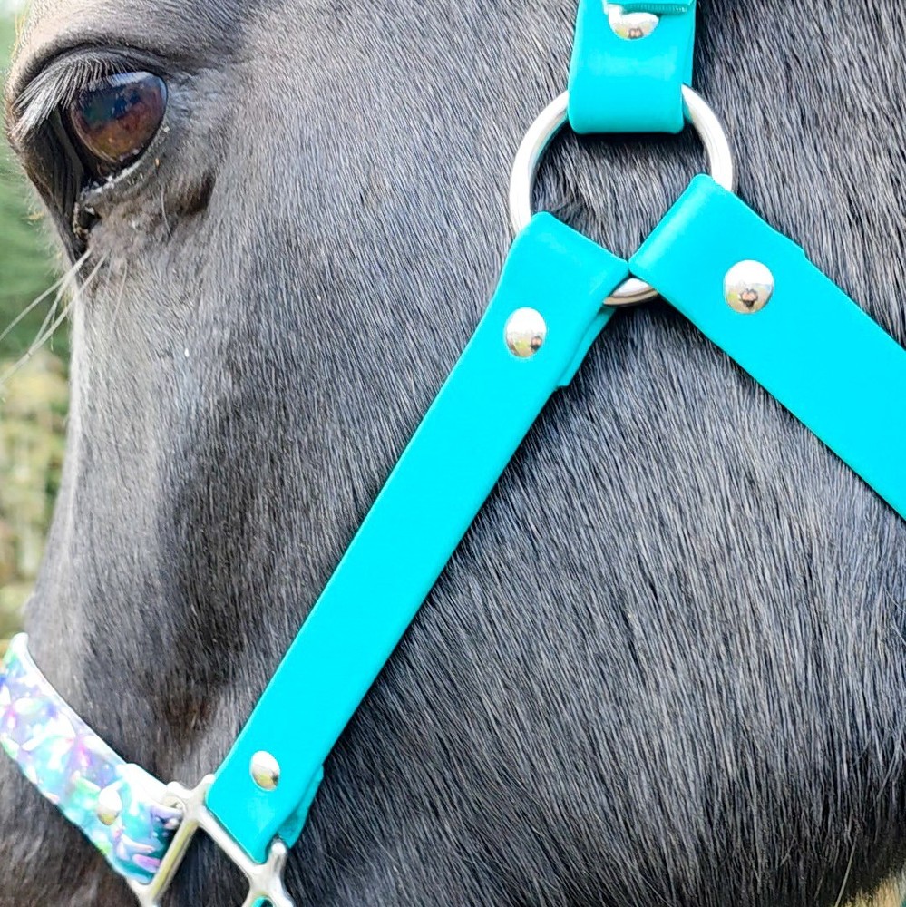 Biothane Horse Halter - Dragonfly