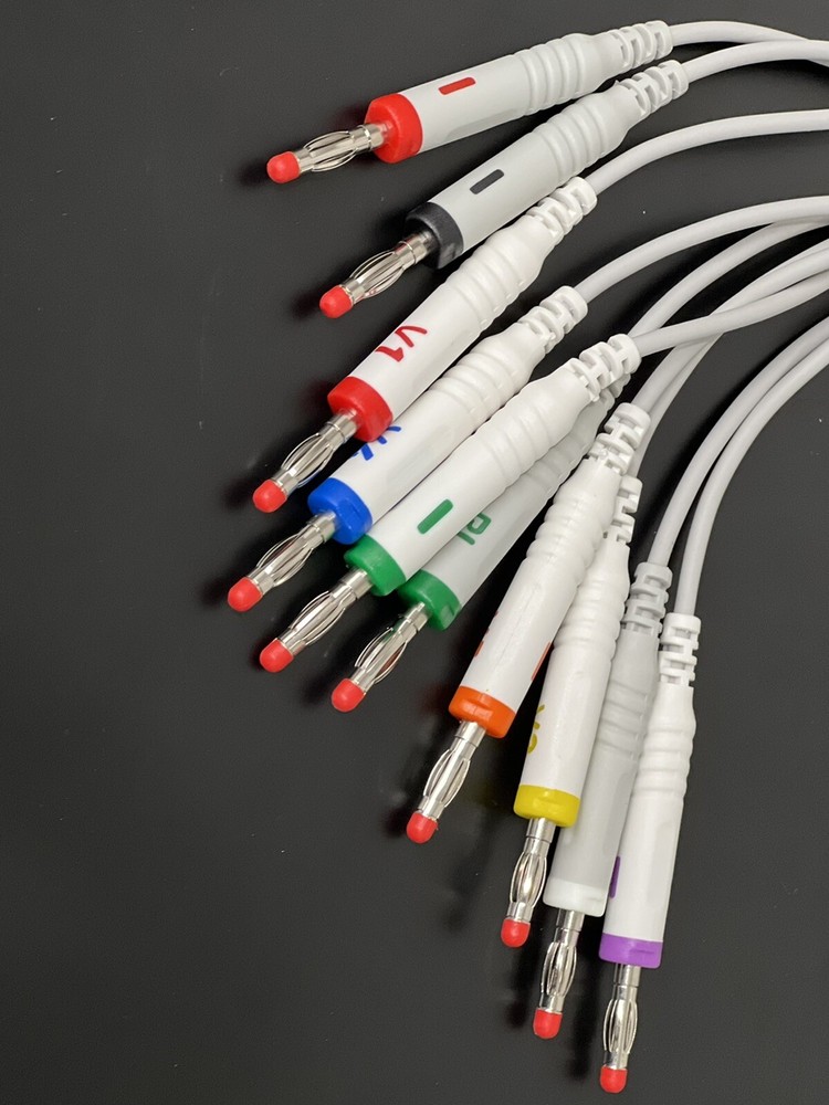 Hellige MicroSmart EKG Cable 10 Leads Banana AHA - Ships Same Day