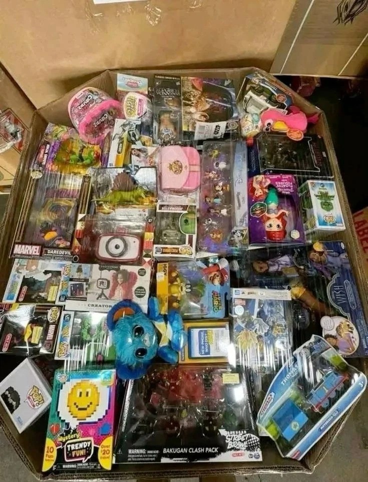 Assorted Overstock Lot – Medium Box with General Merchandise Mix