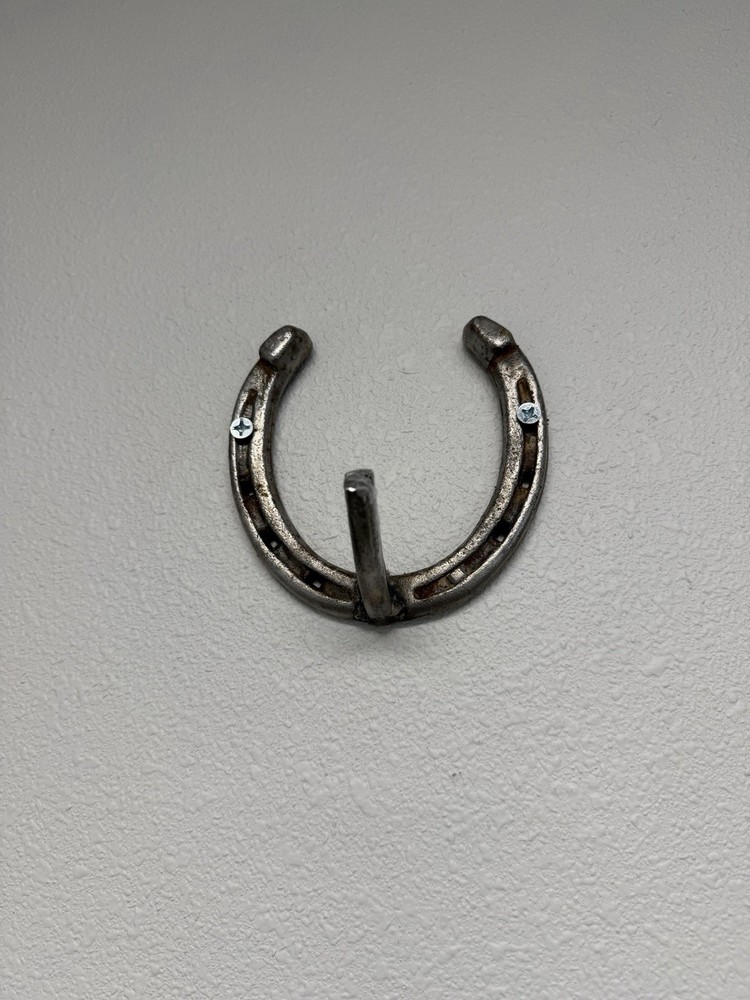 European Skull Hanger Mount