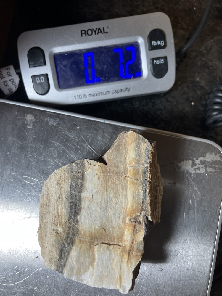 Agatized Wood, Fluorescent Under UV Light