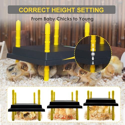 Eggluuz Chick Brooder Heating Plate, 12" x 12" Brooder Heater for Chicks with