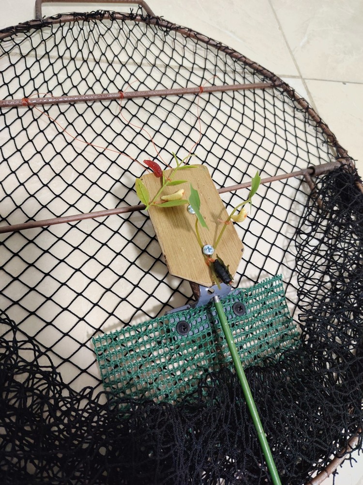 Oval Smart Bird Trap Net – Humane Catching Cage for Sparrows, Pigeons & parrot