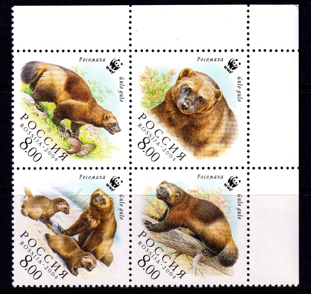 Russia 2004 Gulo gulo - WWF Complete Mint MNH Set Block SC 6857