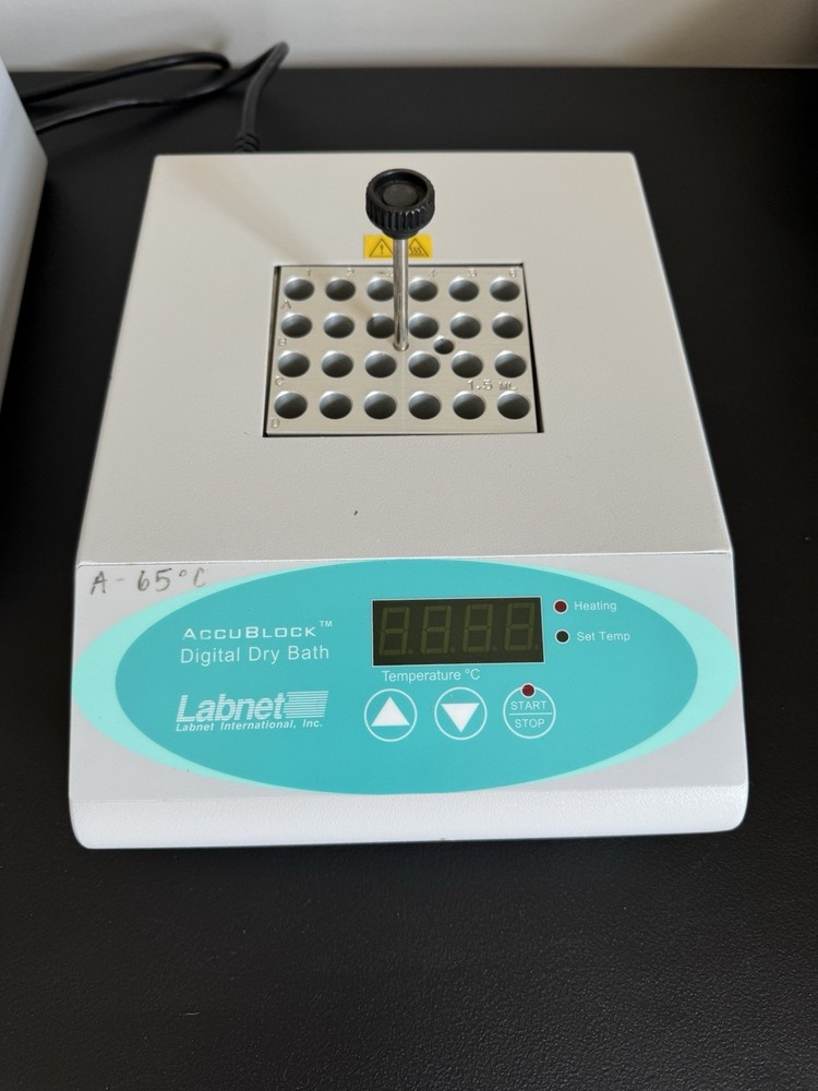 Labnet AccuBlock Digital Dry Bath D1100