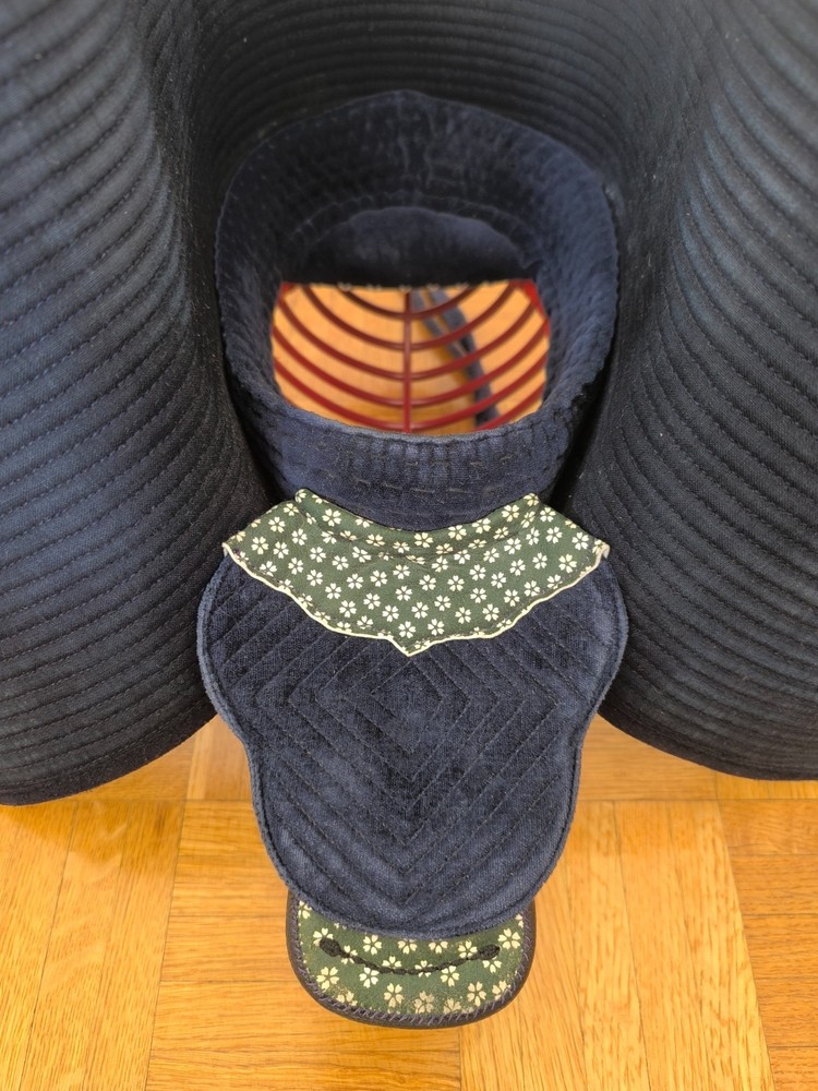 Kendo men and kote