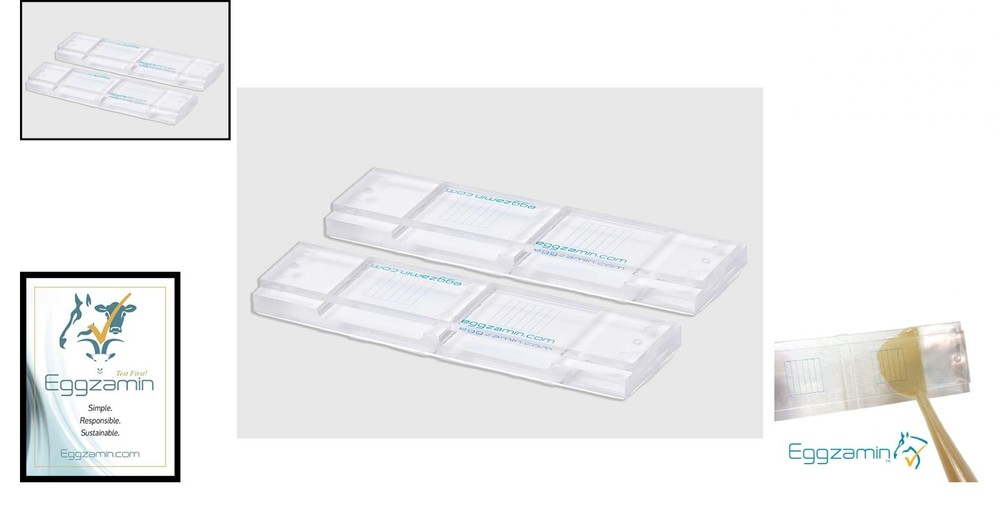 Bundle of 2 McMaster Method Microscope Slides, FEC (Fecal Egg Count) Double C...