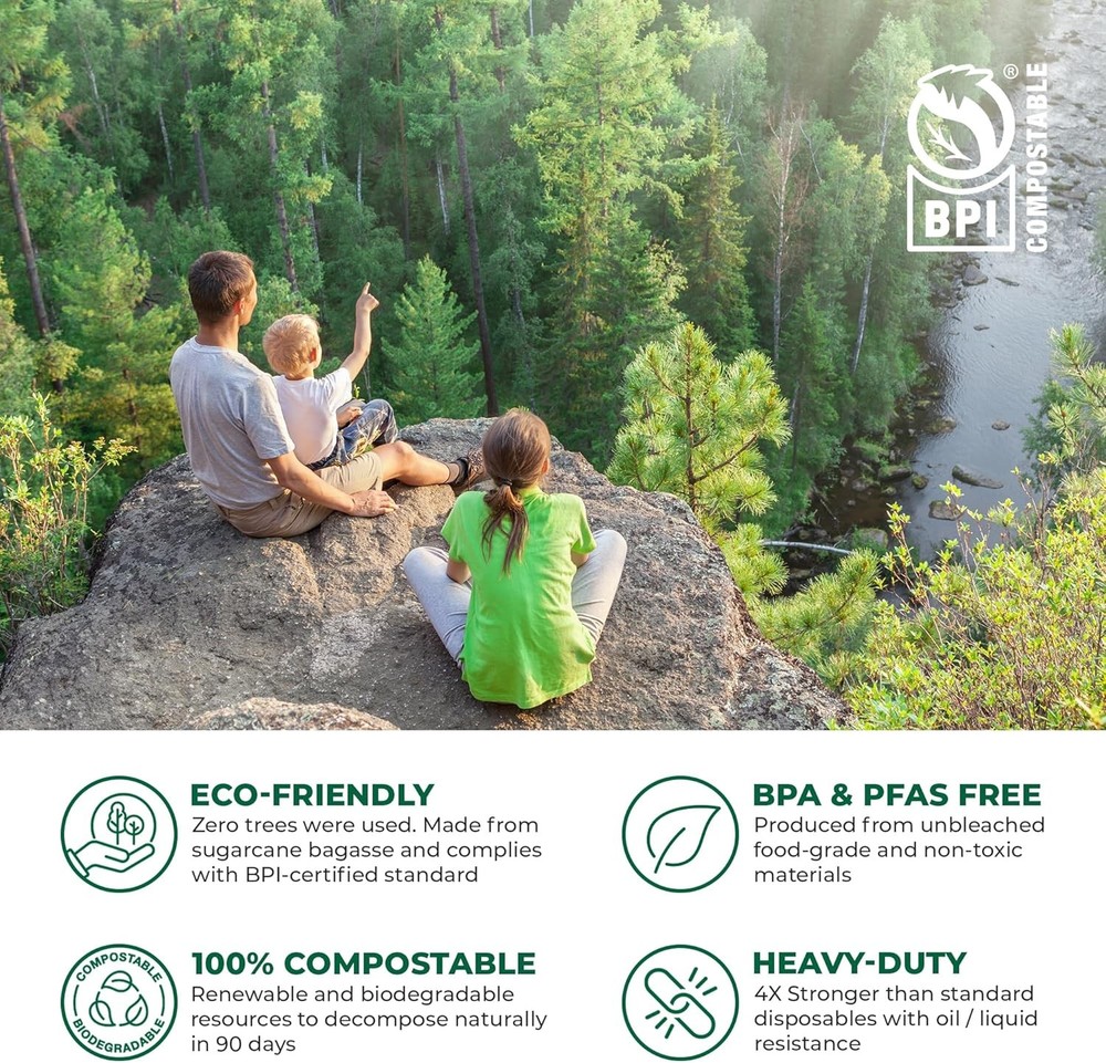 Compostable Shell-Shaped Food Container - 8“ x 8” 50-Piece Pack
