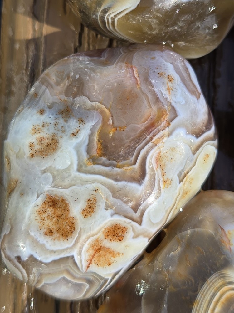 Botswana Agate Selects - ROLLING HILLS - Rough, Natural, Not Polished A+ Grade
