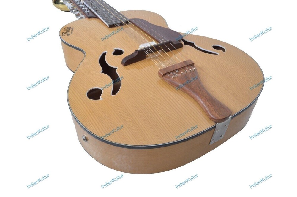 CUSTOM MOHAN VEENA GREAT SIDE WEISSENBORN STYLE MAX STRING PRESSURE