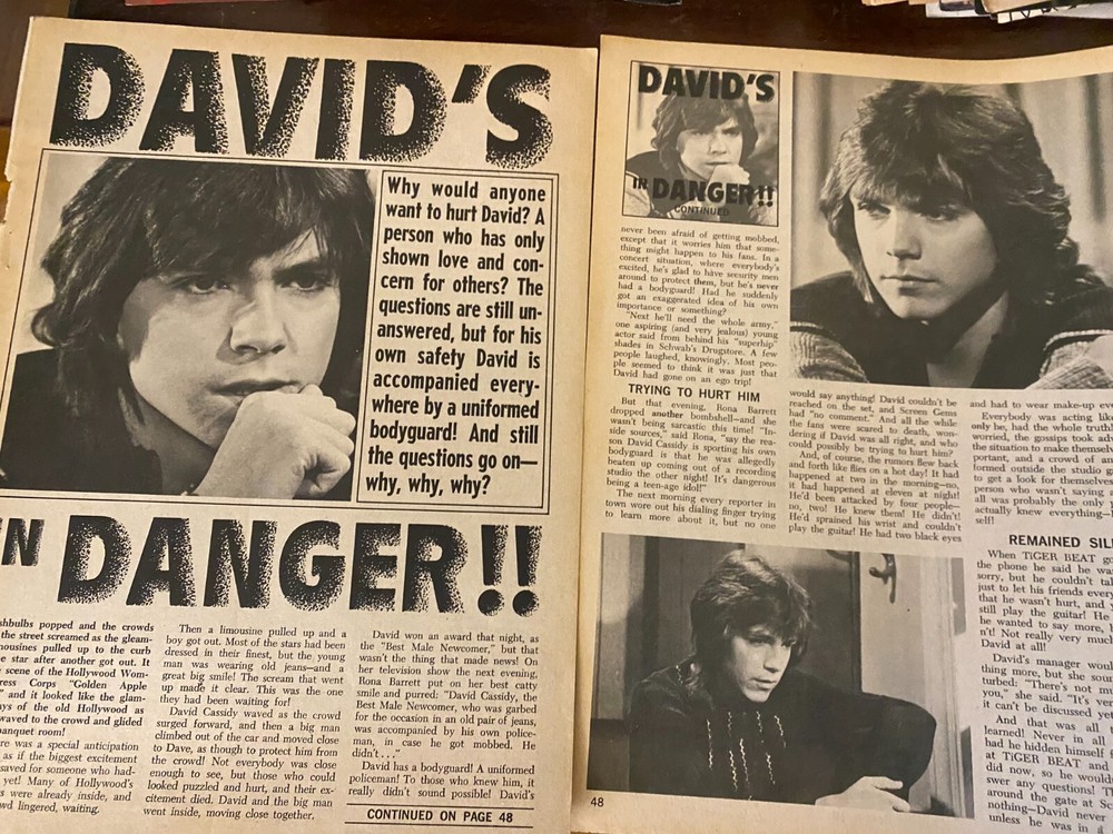 David Cassidy, Two Page Vintage Clipping