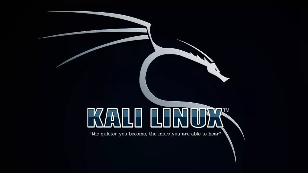 LINUX KALI 2024.3 USB 64-Bit Live Boot/Full Install PRO Security TEST Tools