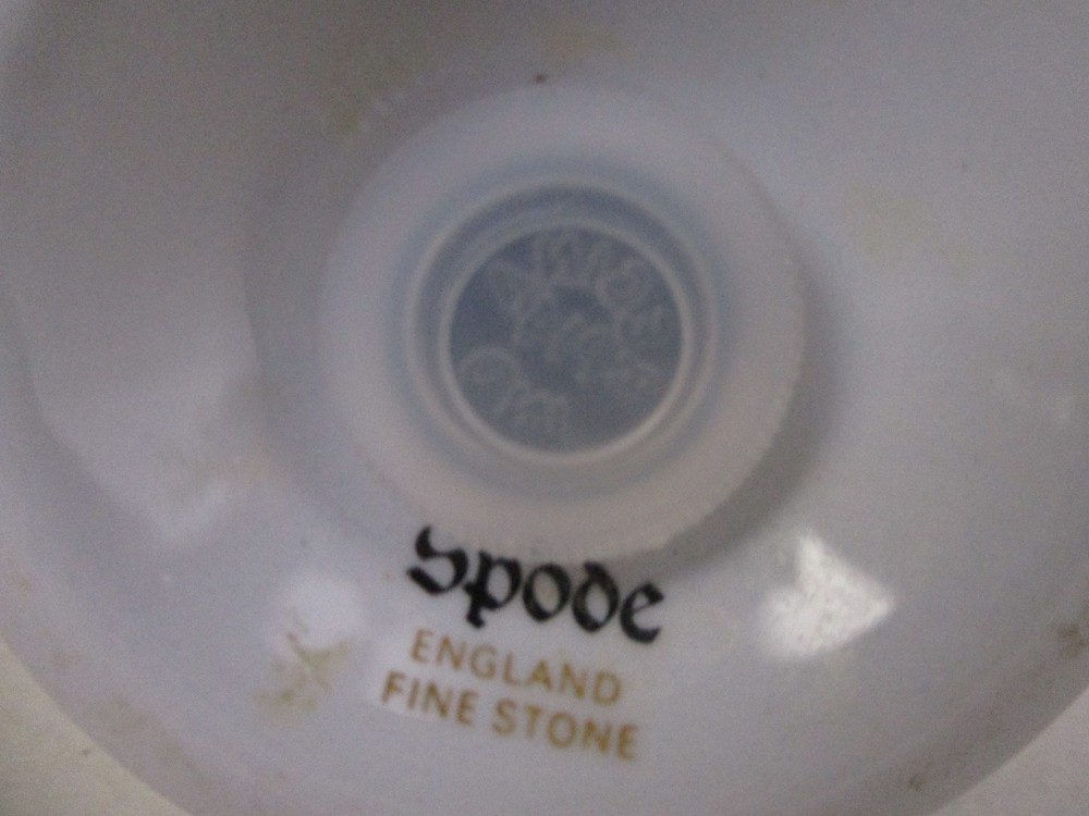 SPODE SUMMER PALACE SHAKER- THREE HOLE- 1002H