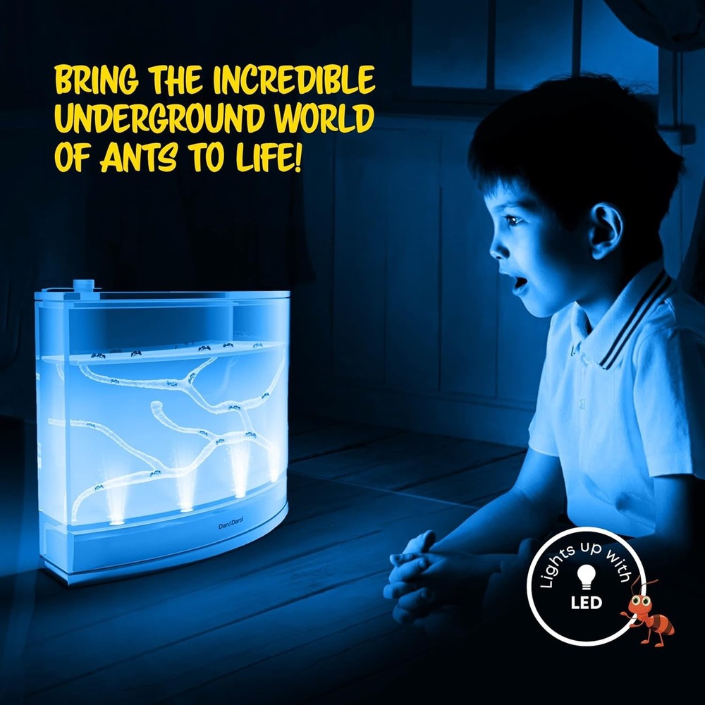 Rechargeable Ant Farm Kit with Learning Guide - Fun STEM Activity for Kids