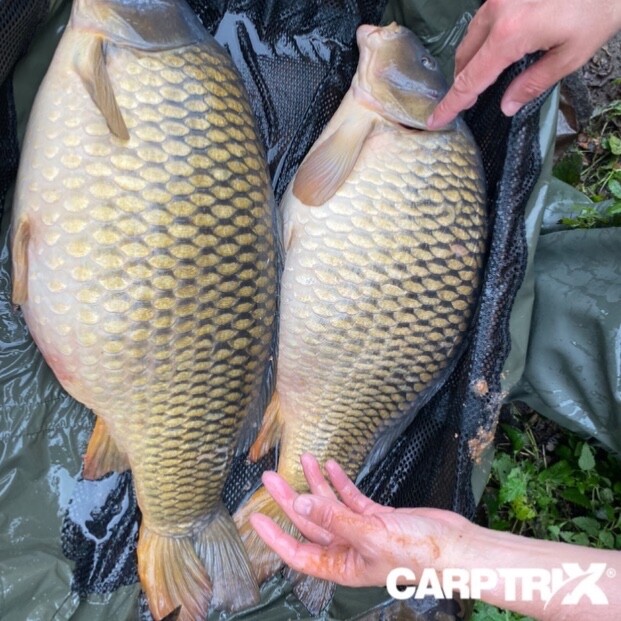 Multi Mat Unhooking Mat/Cradle & Weigh Sling Carp Care