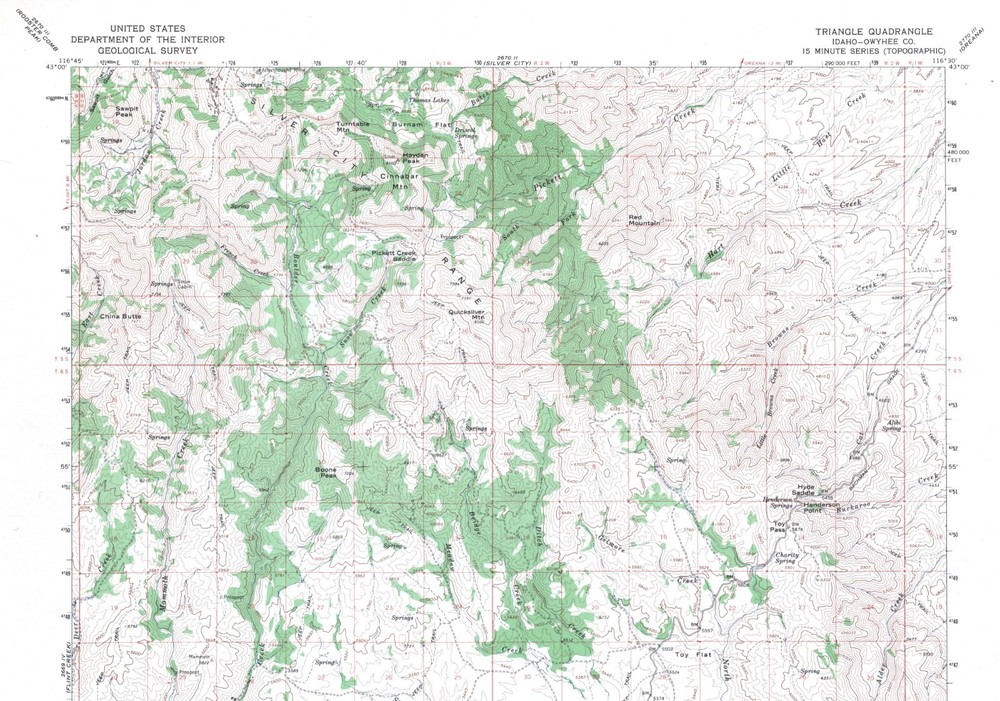 Triangle Quadrangle, Idaho 1965 Topo Map USGS 15 Minute Topographic
