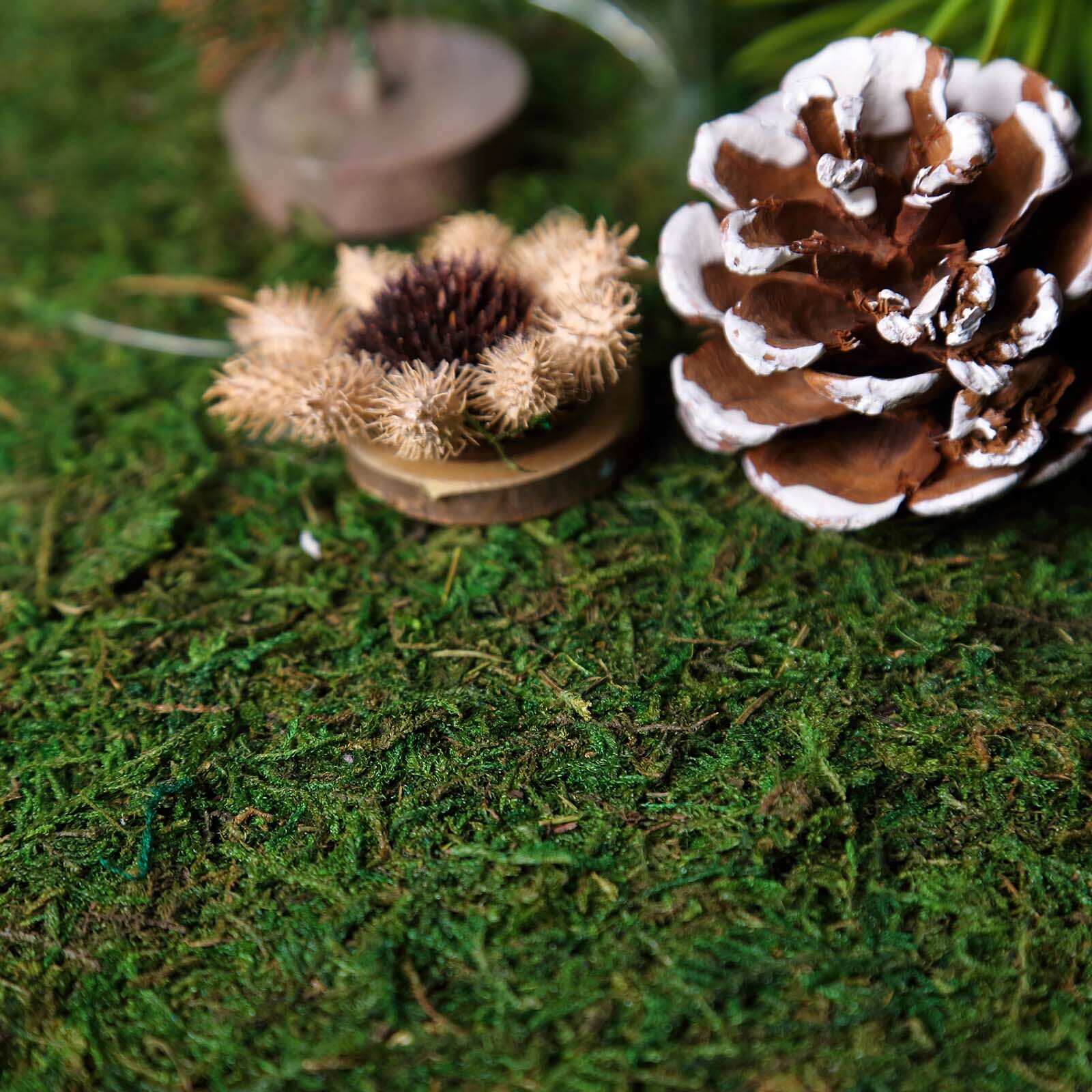 18" x 16" Green Natural Preserved Moss Sheet Party Wedding Crafts Decorations