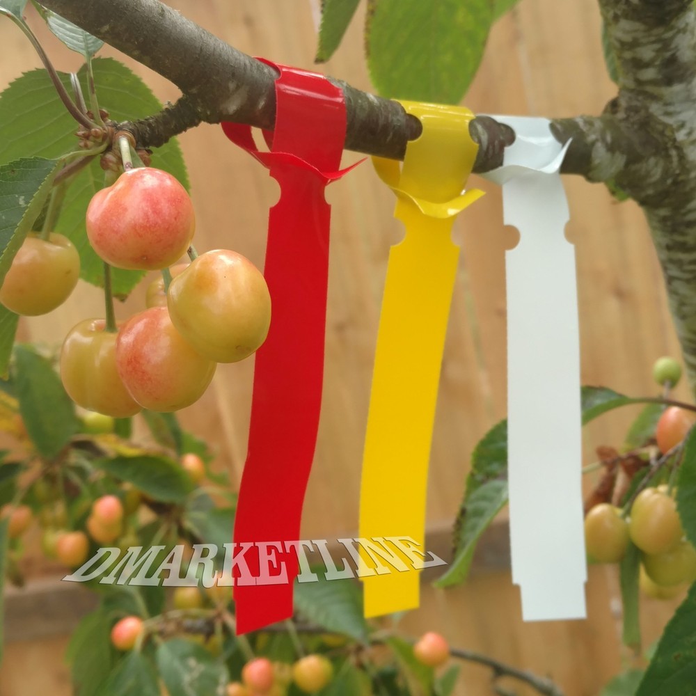 Wrap Around labels plastic thermal plant red labels 7" x 3/4" tree loop.